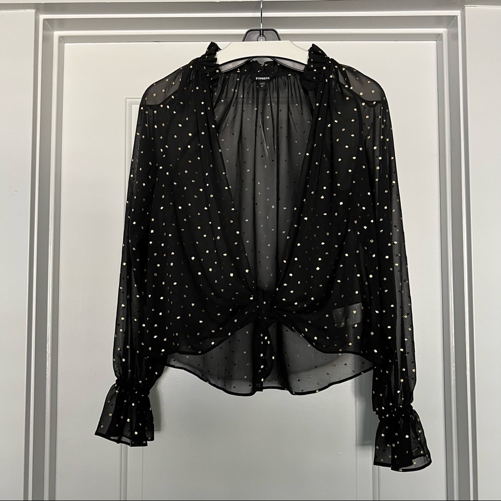 Sheer Metallic Top with Long Sleeves and Open Tie Front